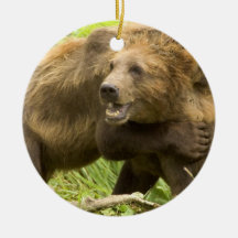 Fighting Bears Ornament