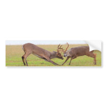 Fighting Bucks Bumper Sticker bumper stickers