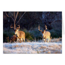 Fighting Buddy - 04 Greeting Card