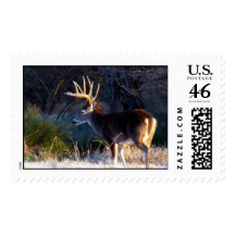 Fighting Buddy - 3-04 Stamps