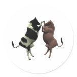 fighting cows round stickers