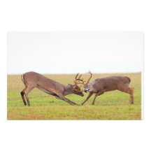 Fighting Deer Stationery
