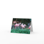 Fighting Flamingos Note Card