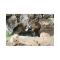 Fighting Grizzly's posters by gjdm01 Fighting Grizzly's posters