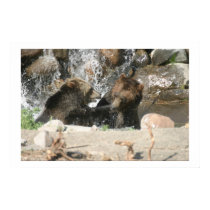 Fighting Grizzly's posters by gjdm01 Fighting Grizzly's posters
