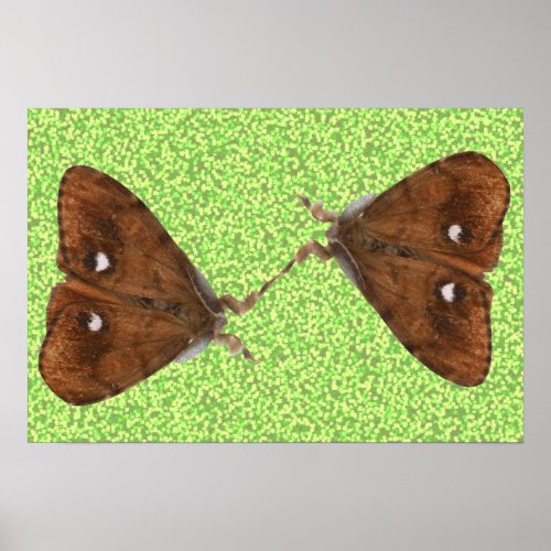 Fighting Moths print