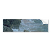 Fighting Powers Bumper Sticker