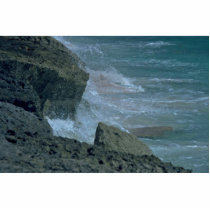 Fighting Powers Photo Cutout