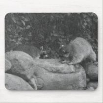 Fighting Raccoons Mousepad mousepads