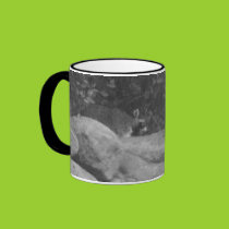 Fighting Raccoons Mug mugs