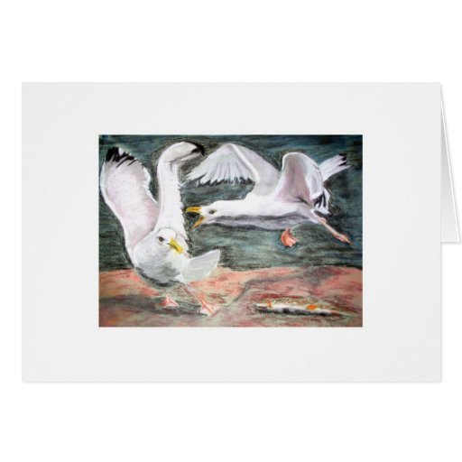 Fighting Seagulls Greeting Cards