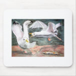 Fighting seagulls mouse pads
