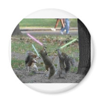 Fighting Sqirrels magnets