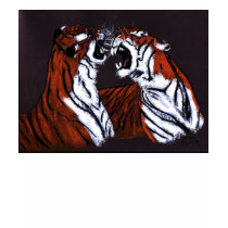fighting tigers t-shirts