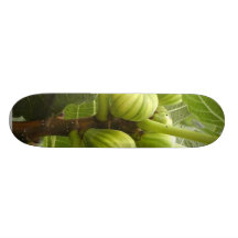 Figs Skate Boards