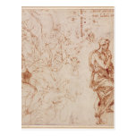 Figure Studies for a Woman Post Card