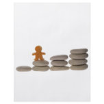 Figurine on stack of pebbles full color flyer
