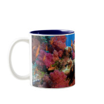 fiji - anthias mugs by pdlambert fiji - anthias mugs
