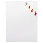 Fiji Chili Peppers Letterhead Template