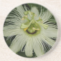Fiji Flower Coaster