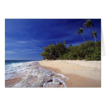 Fiji Islands, Tavarua. This beach on Tavarua, Greeting Card
