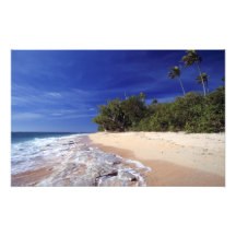 Fiji Islands, Tavarua. This beach on Tavarua, Photograph