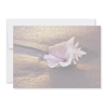 Fiji Islands, there are still shells like this on Invites