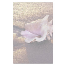 Fiji Islands, there are still shells like this on Stationery