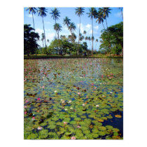 Fiji Lily Pond posters