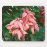 Fiji Pink and Yellow Flower Mousepad