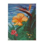 "Fiji" Postcard