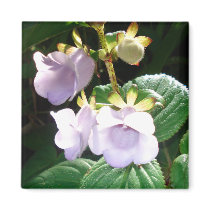 Fiji Purple Orchid Fridge Magnet