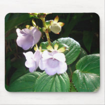 Fiji Purple Orchid Mousepad