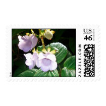 Fiji Purple Orchid Stamps
