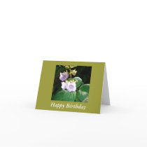 Fiji Tropical Purple Orchid Birthday Card