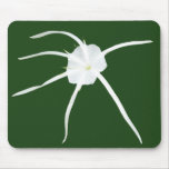 Fiji White Tendril Flower Mousepad