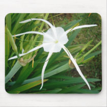 Fiji White Tendril Flower Mousepad