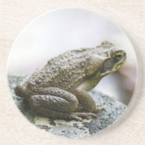 Fijian Frog Coaster