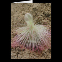 Fijian White Flower cards