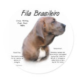 Fila Brasileiro History Design Round Stickers