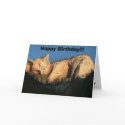 file000, Happy Birthday!!! cards by jhendricks26 file000, Happy Birthday!!! cards