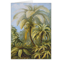 Filicinae (Ferns), Ernst Haeckel Card