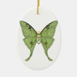 Filled Moth Ornaments