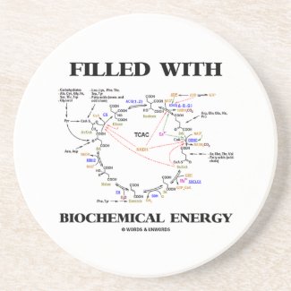 Filled With Biochemical Energy (Krebs Cycle) Beverage Coasters