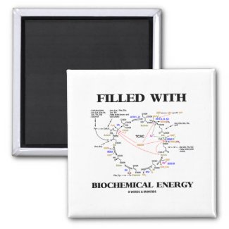 Filled With Biochemical Energy (Krebs Cycle) Refrigerator Magnet