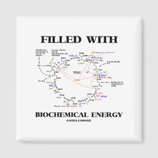 Filled With Biochemical Energy (Krebs Cycle) Refrigerator Magnet