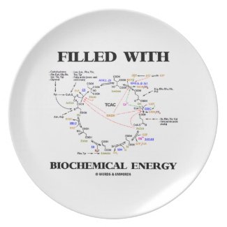 Filled With Biochemical Energy (Krebs Cycle) Dinner Plates