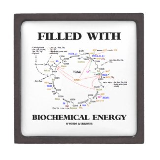 Filled With Biochemical Energy (Krebs Cycle) Premium Trinket Boxes