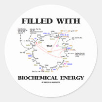 Filled With Biochemical Energy (Krebs Cycle) Stickers