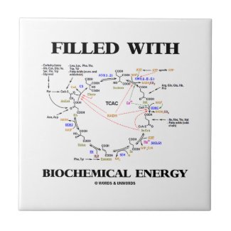Filled With Biochemical Energy (Krebs Cycle) Ceramic Tiles